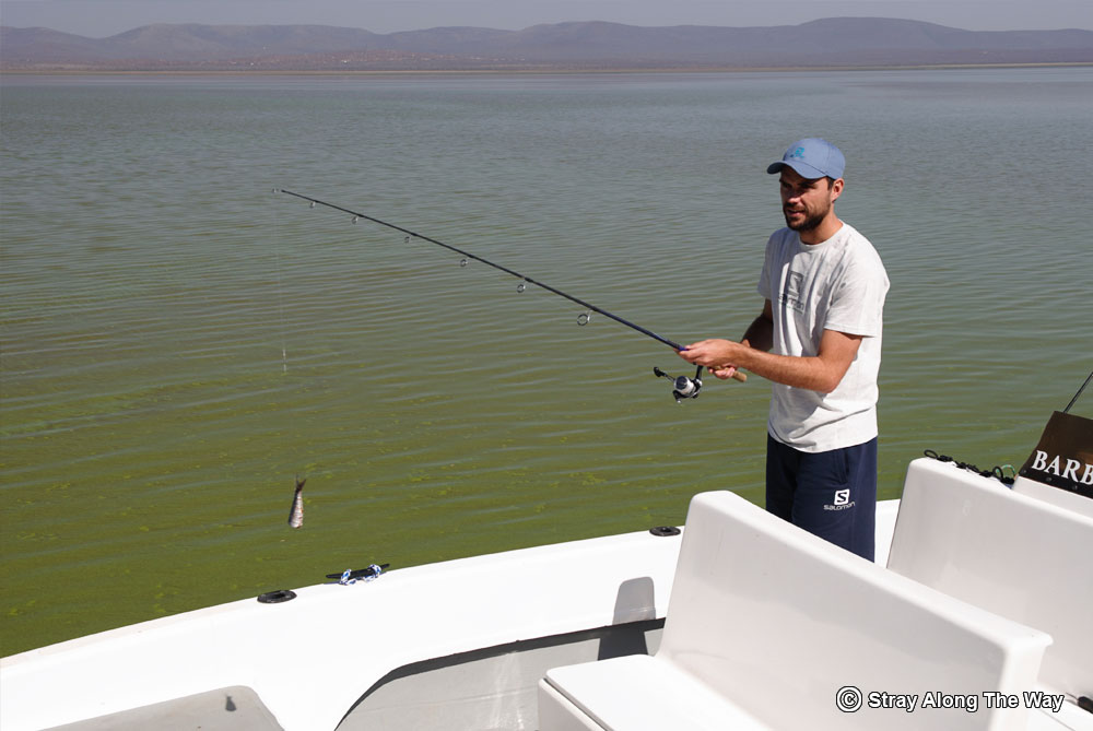 Bevan tiger fishing on Jozini Dam